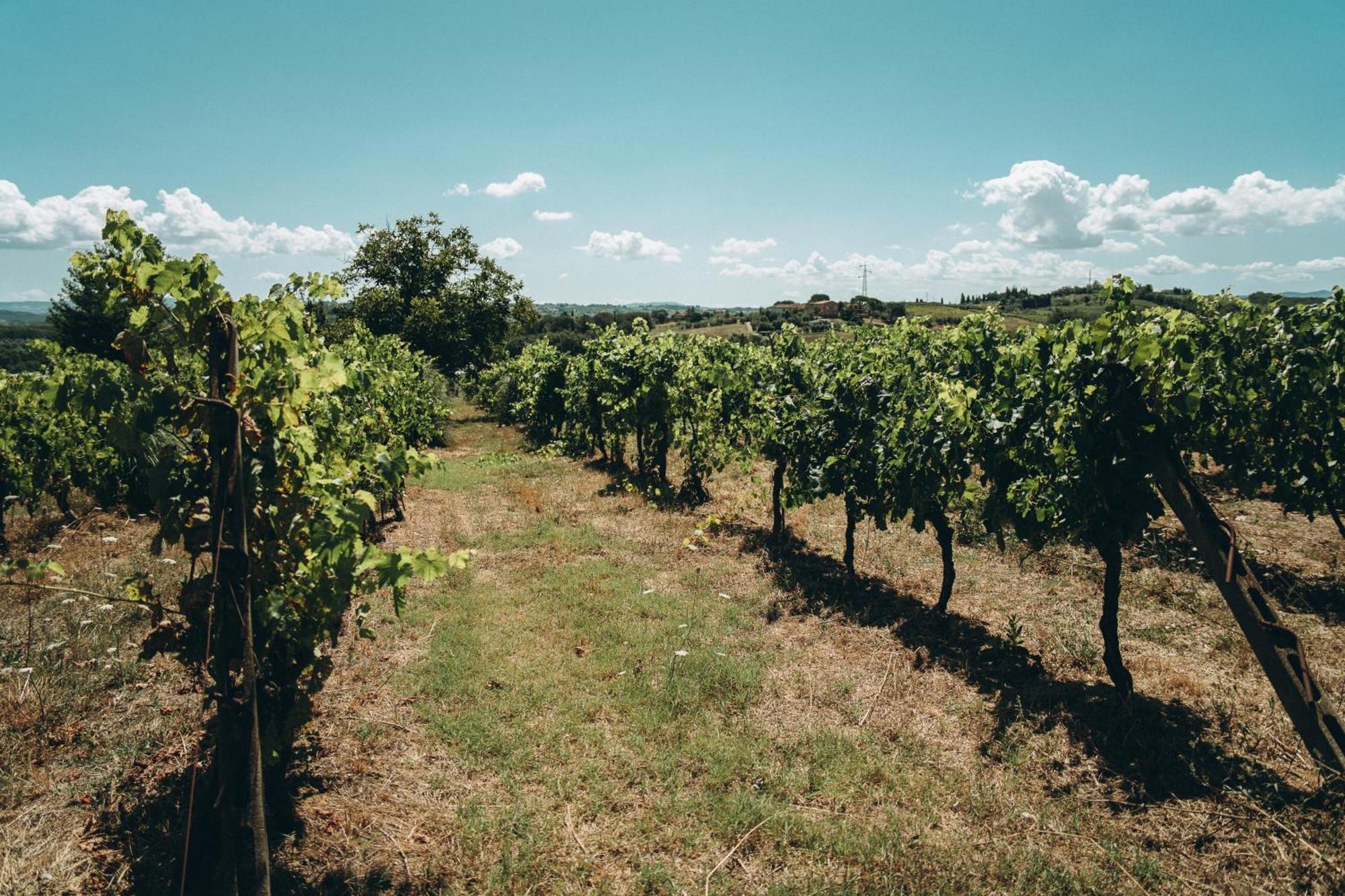 Agriturismo Terra Di Dio Toscanizzazione Capannoli Exterior foto